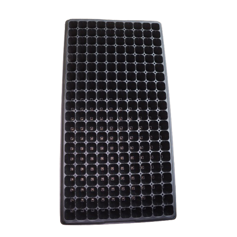 Seedling Trays